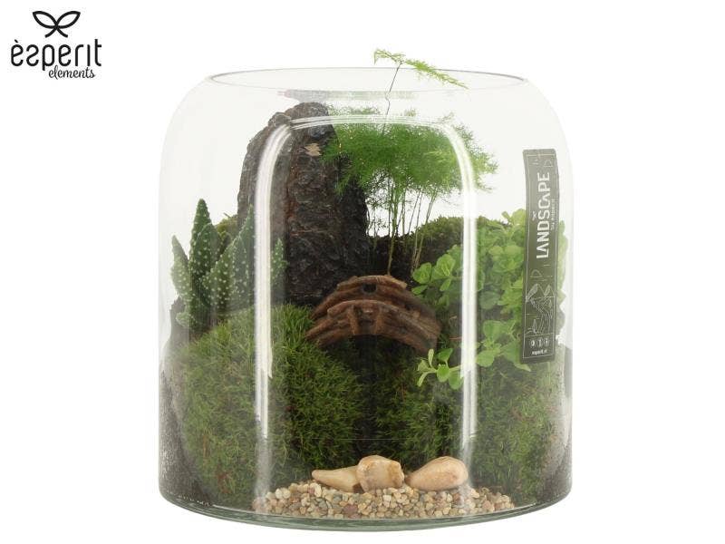 Landscape arrangement (90630)