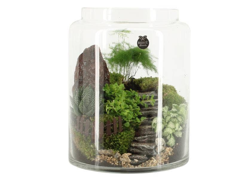 Landscape arrangement (90631)