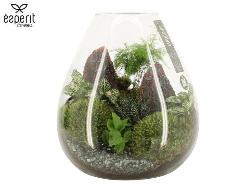 Landscape arrangement (90761)