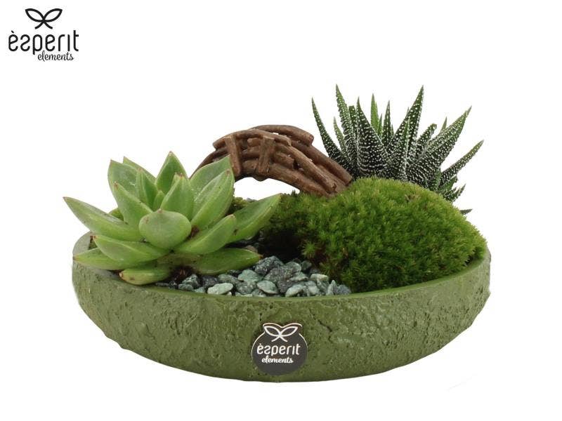 Landscape arrangement (90764)
