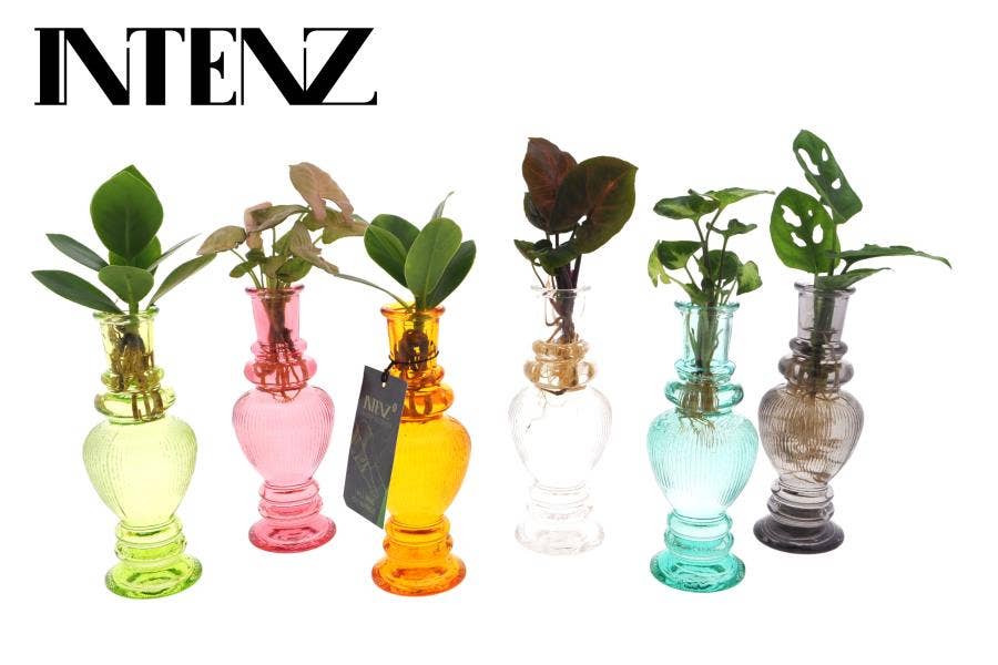 Mix in Venice glas