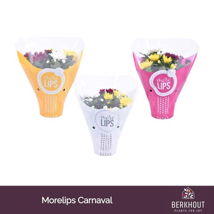 MoreLIPS Chrysant Carnaval