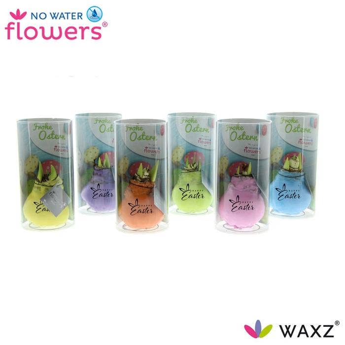 No Water Flowers Waxz® Pastel Mix Printz Happy Eas