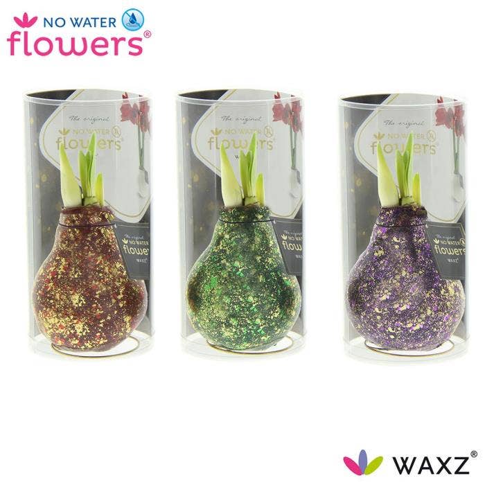 No Water Flowers® Galaxy Polaris Mix in Koker