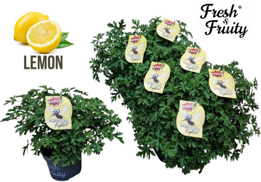 Pel. Fresh&Fruity® Mosquito Fighter