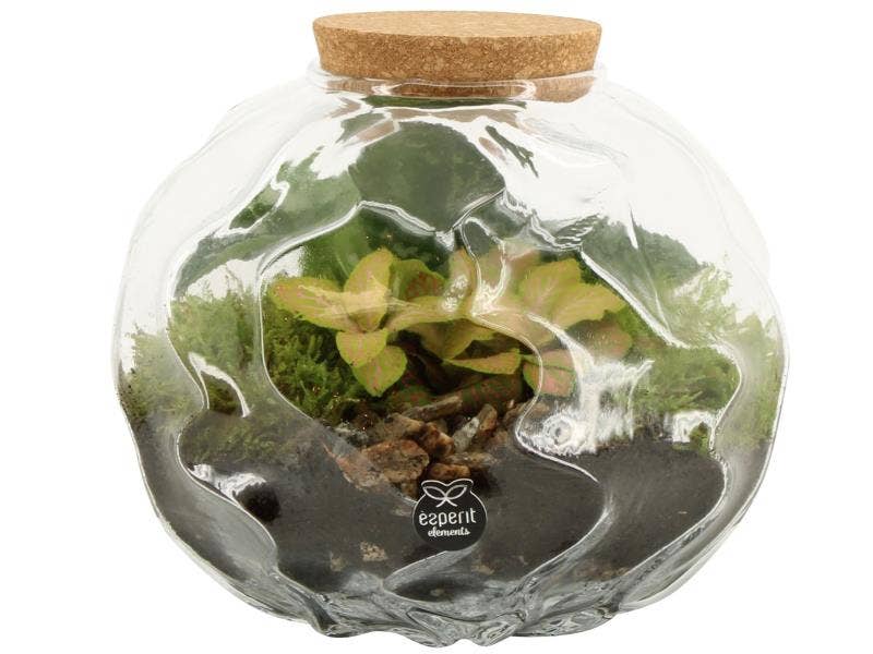 Terrarium arr. (90675)