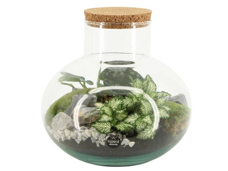 Terrarium arr. (90706)