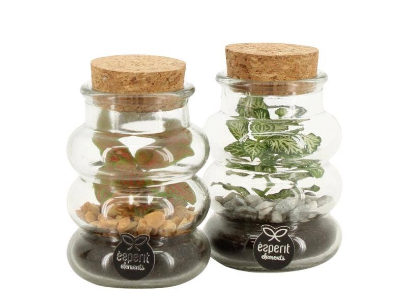 Terrarium arr. (90707)