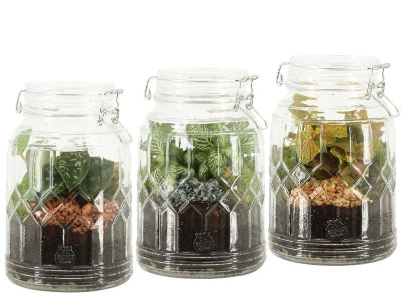 Terrarium arr. (90718)