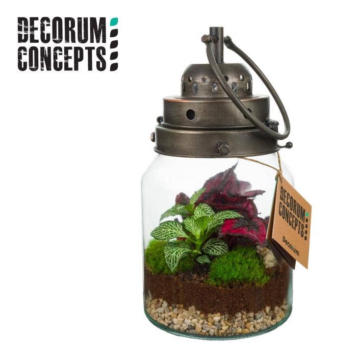 Terrarium arr. Storm light + LED