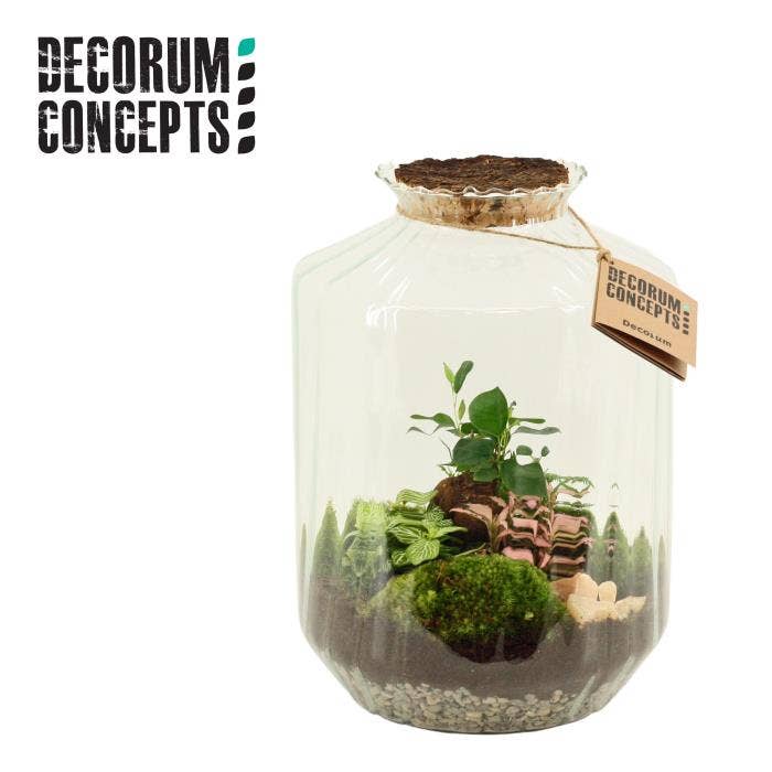 Terrarium arr. Strepe