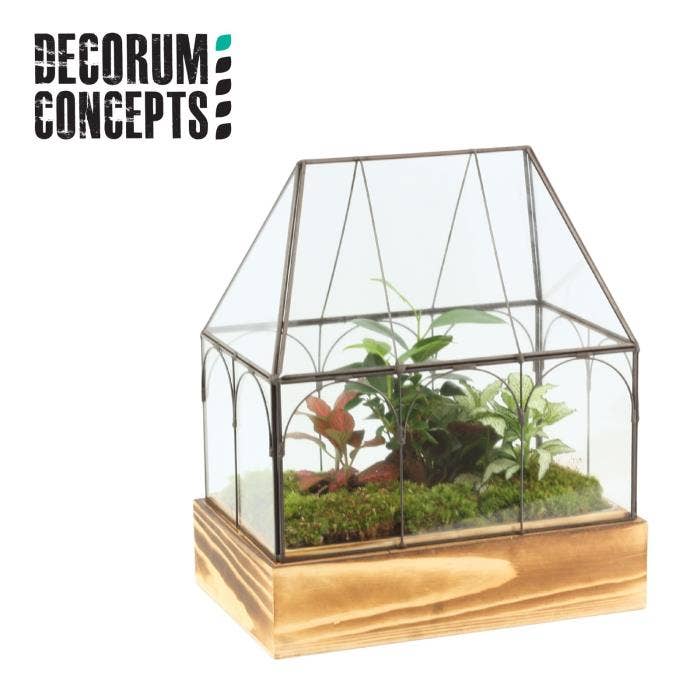 Terrarium arr. Wardian Case Two