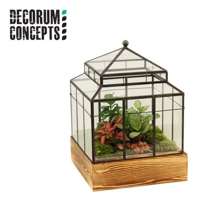 Terrarium arr. Wardian Case