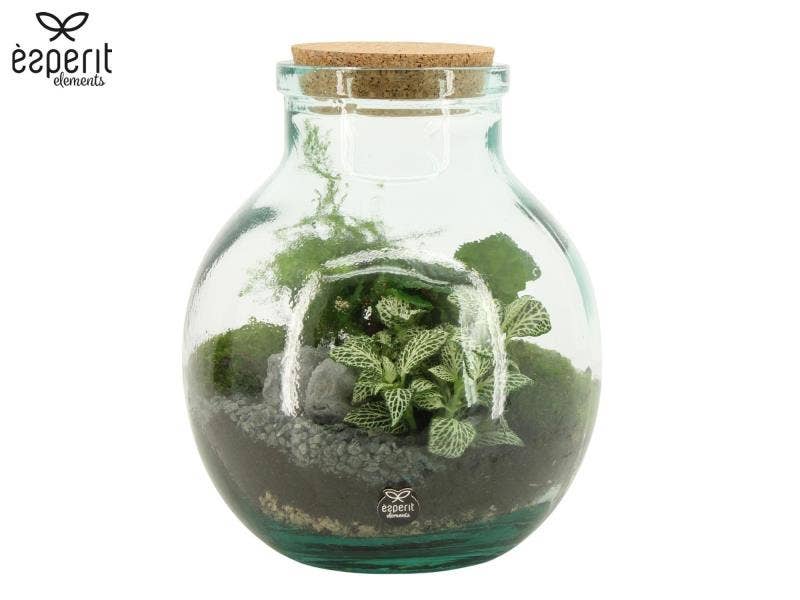 Terrarium arrangement (90076)