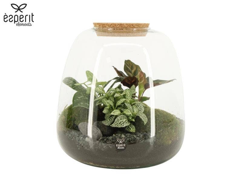 Terrarium arrangement (90425)
