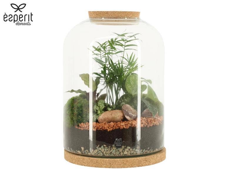 Terrarium arrangement (90552)