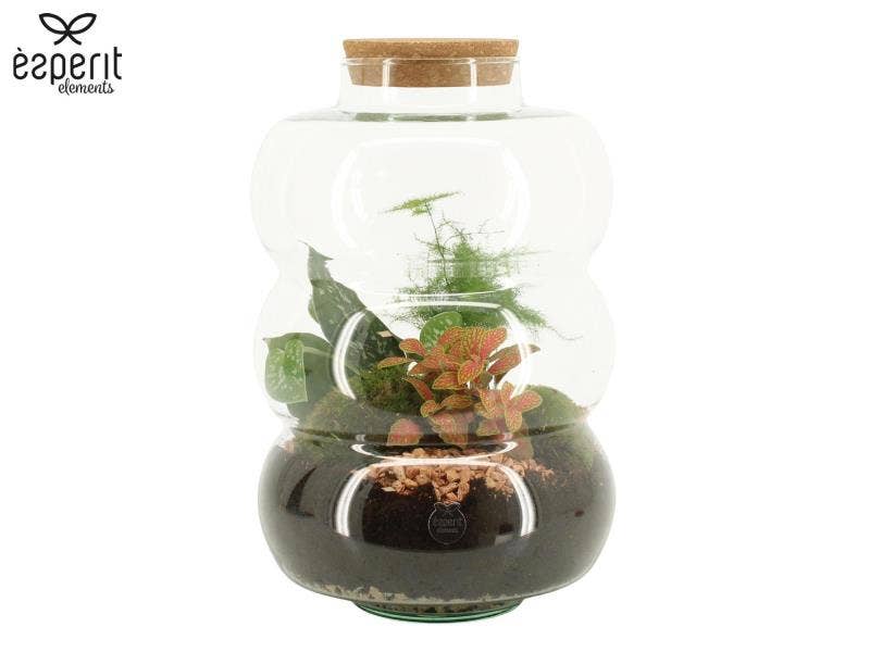 Terrarium arrangement (90585)