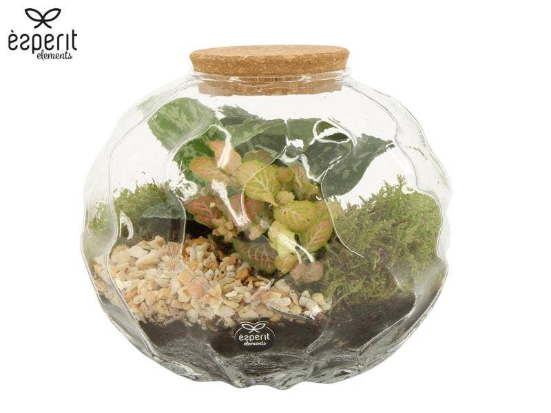 Terrarium arrangement (90675)