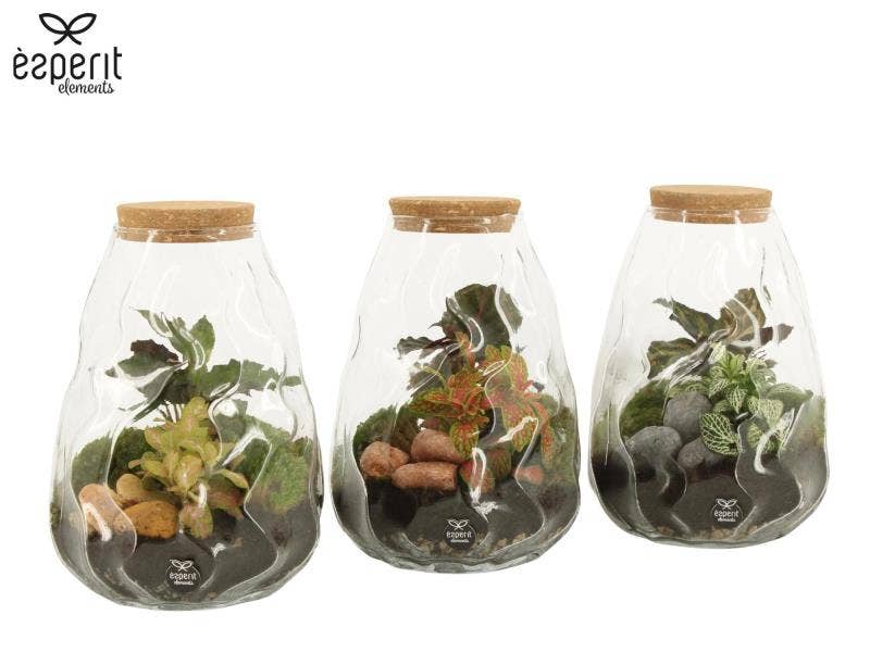 Terrarium arrangement (90682)