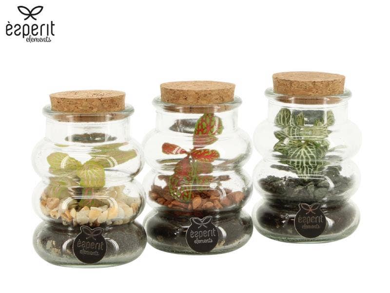 Terrarium arrangement (90707)