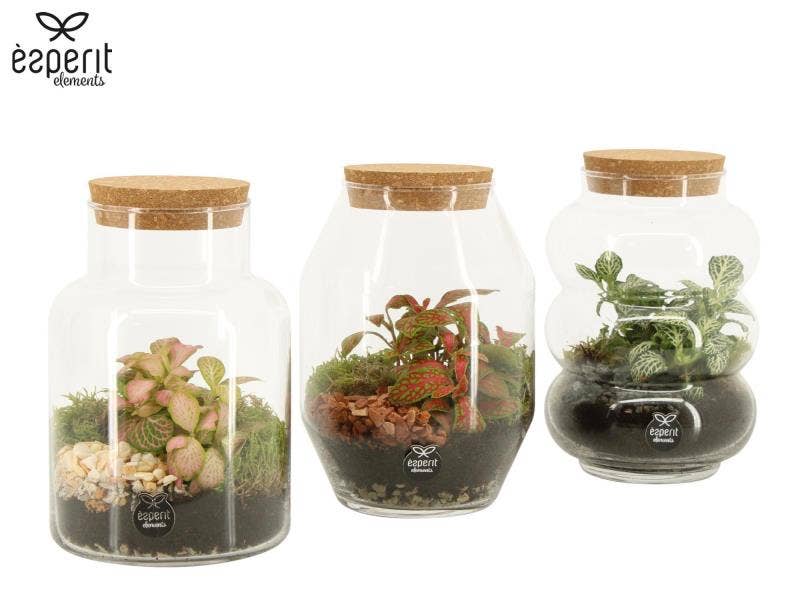 Terrarium arrangement (90709)