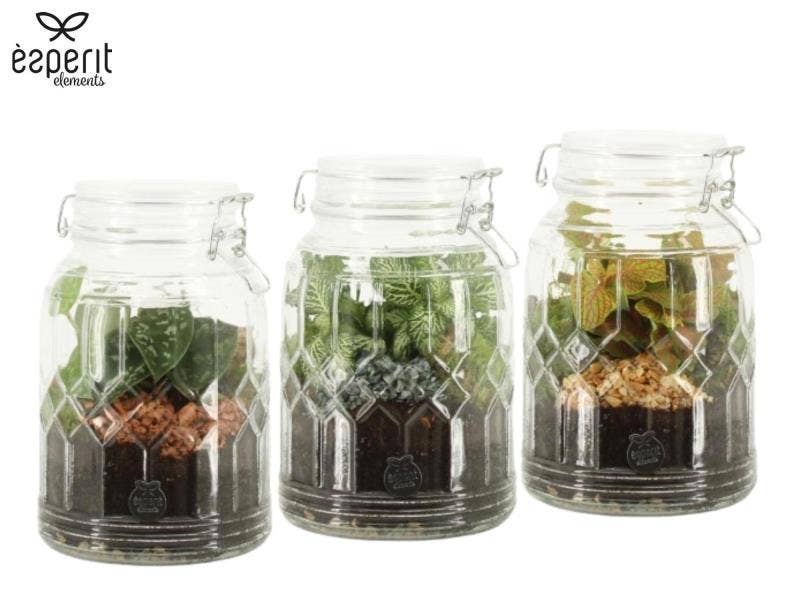 Terrarium arrangement (90718)