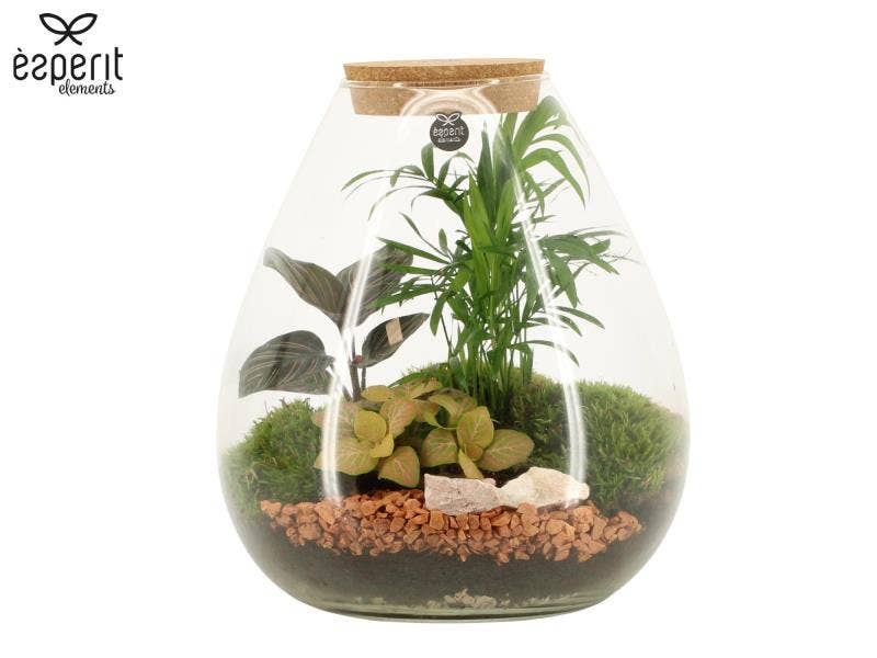 Terrarium arrangement (90806)