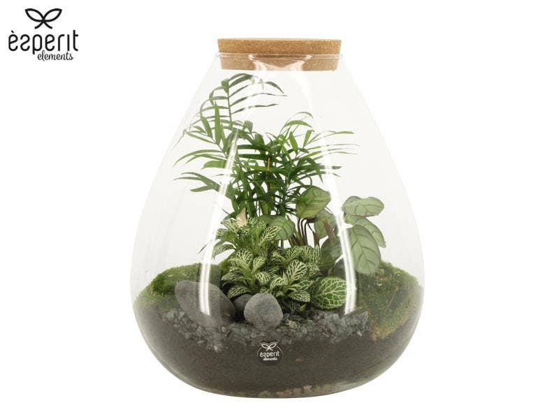 Terrarium arrangement (90811)