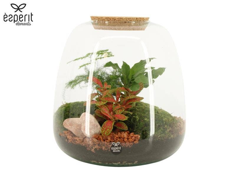 Terrarium arrangement (90835)