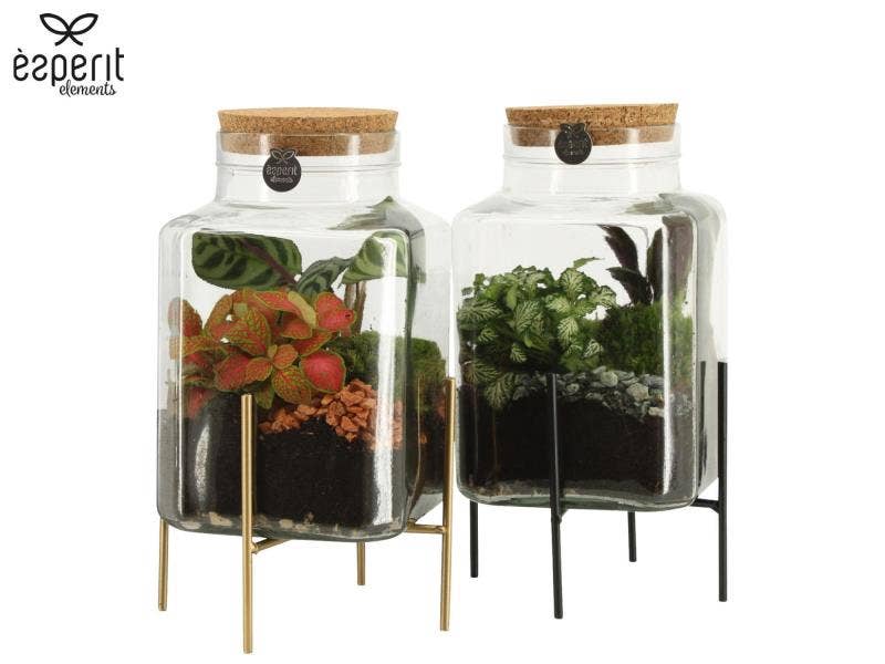 Terrarium arrangement (90836)