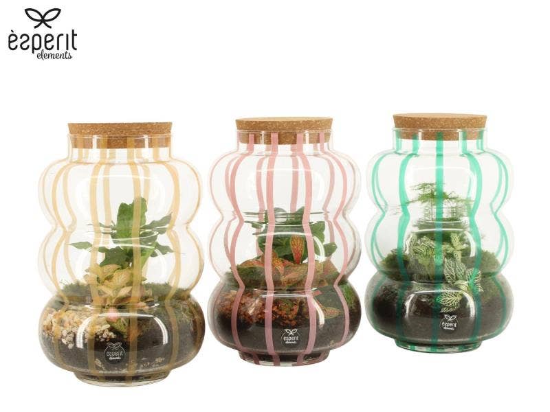 Terrarium arrangement (90874)
