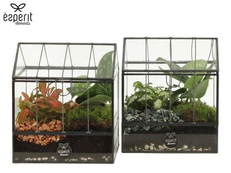 Terrarium arrangement (91046)