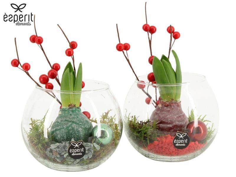 X-mas arrangement (61571)