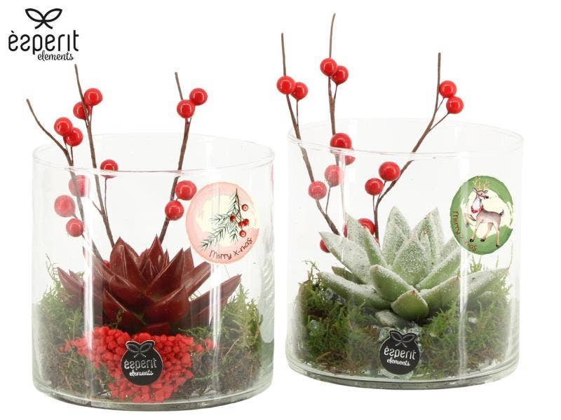 X-mas arrangement (61573)