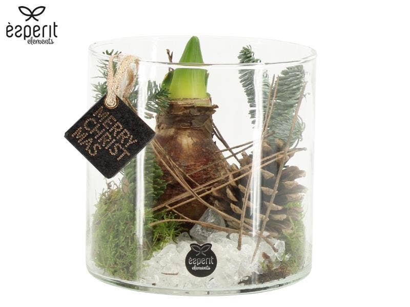 X-mas arrangement (61702)