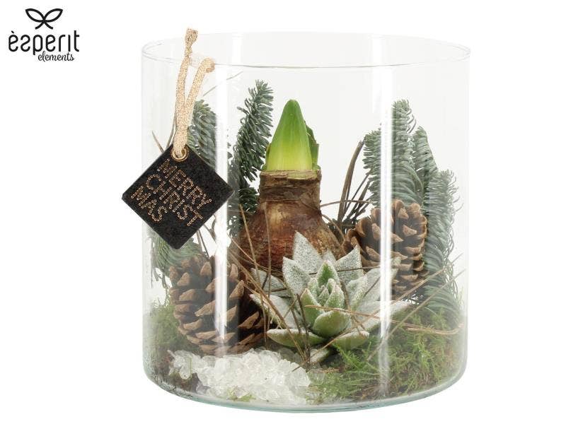 X-mas arrangement (61709)