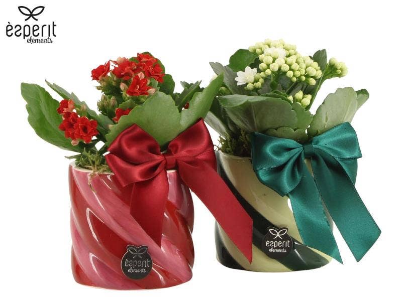 X-mas arrangement (61770)