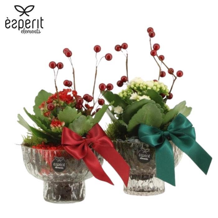 X-mas arrangement (61797)