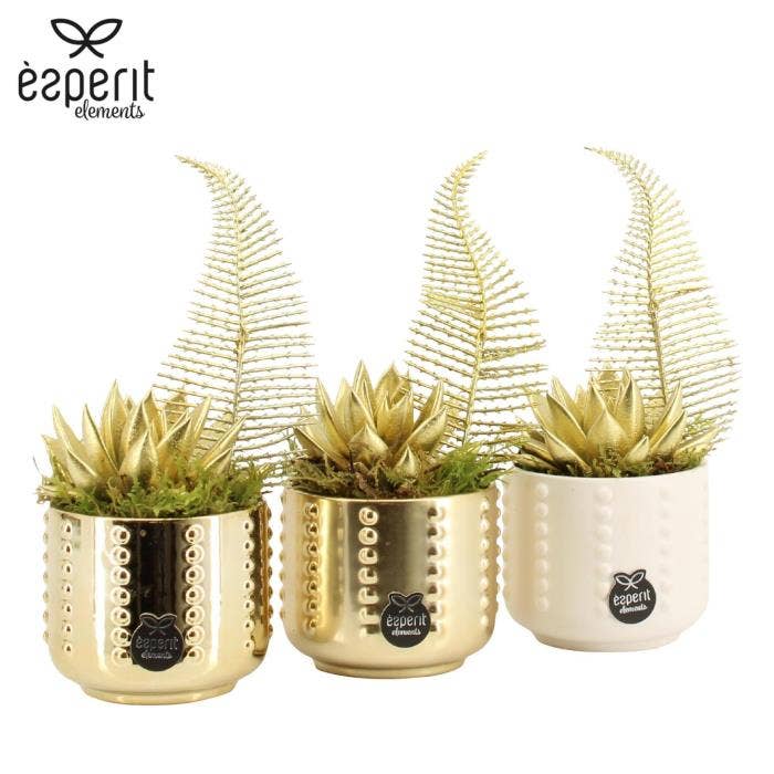 X-mas arrangement (61848)