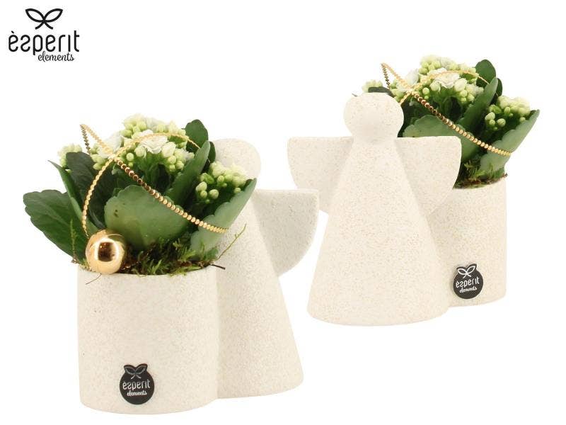 X-mas arrangement (61900)