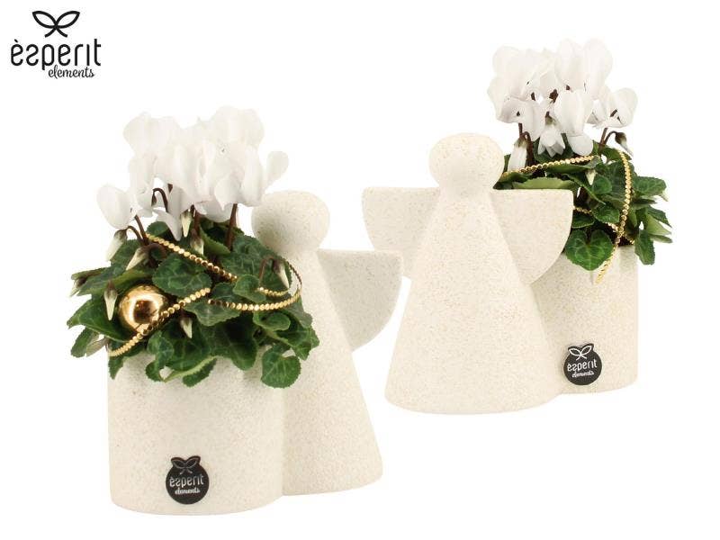 X-mas arrangement (61901)