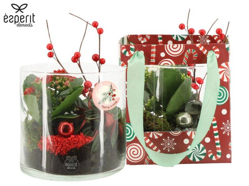 X-mas arrangement (61994)