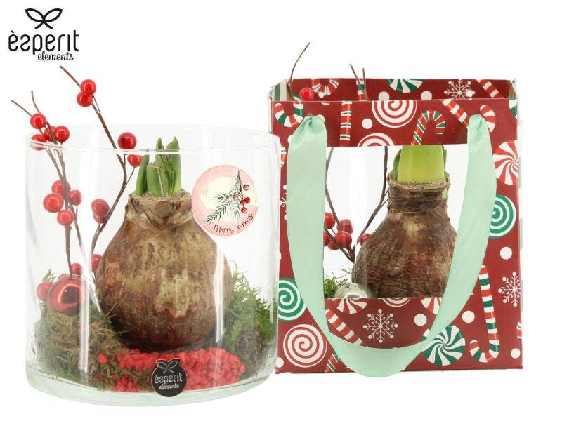 X-mas arrangement (61995)