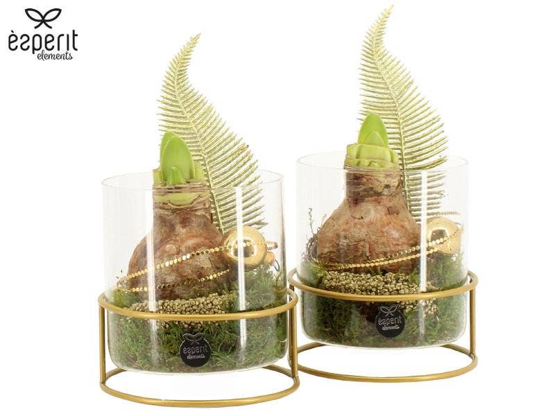 X-mas arrangement (62049)