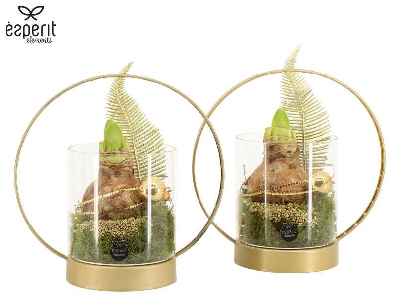 X-mas arrangement + LED (62046)