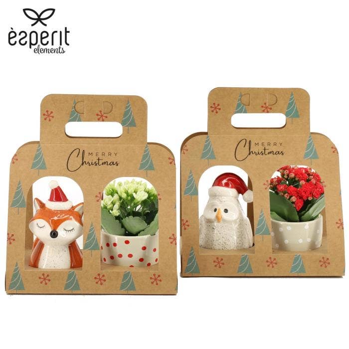 X-mas Solutionss (6501283)