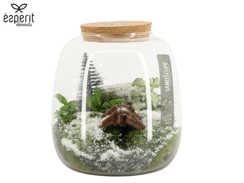 X-mas terrarium Landscape (90955)