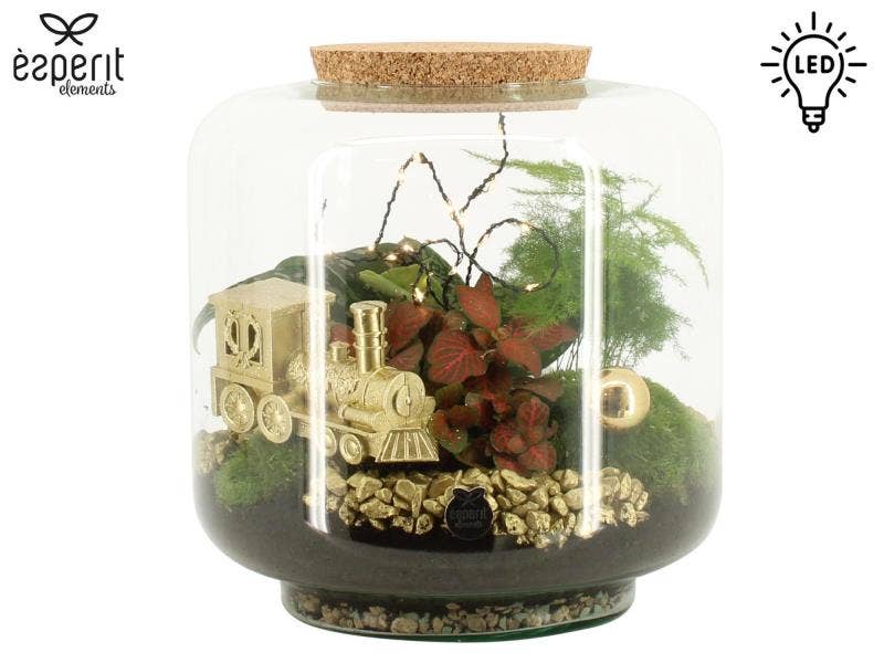 X-mas terrarium + LED (62064)